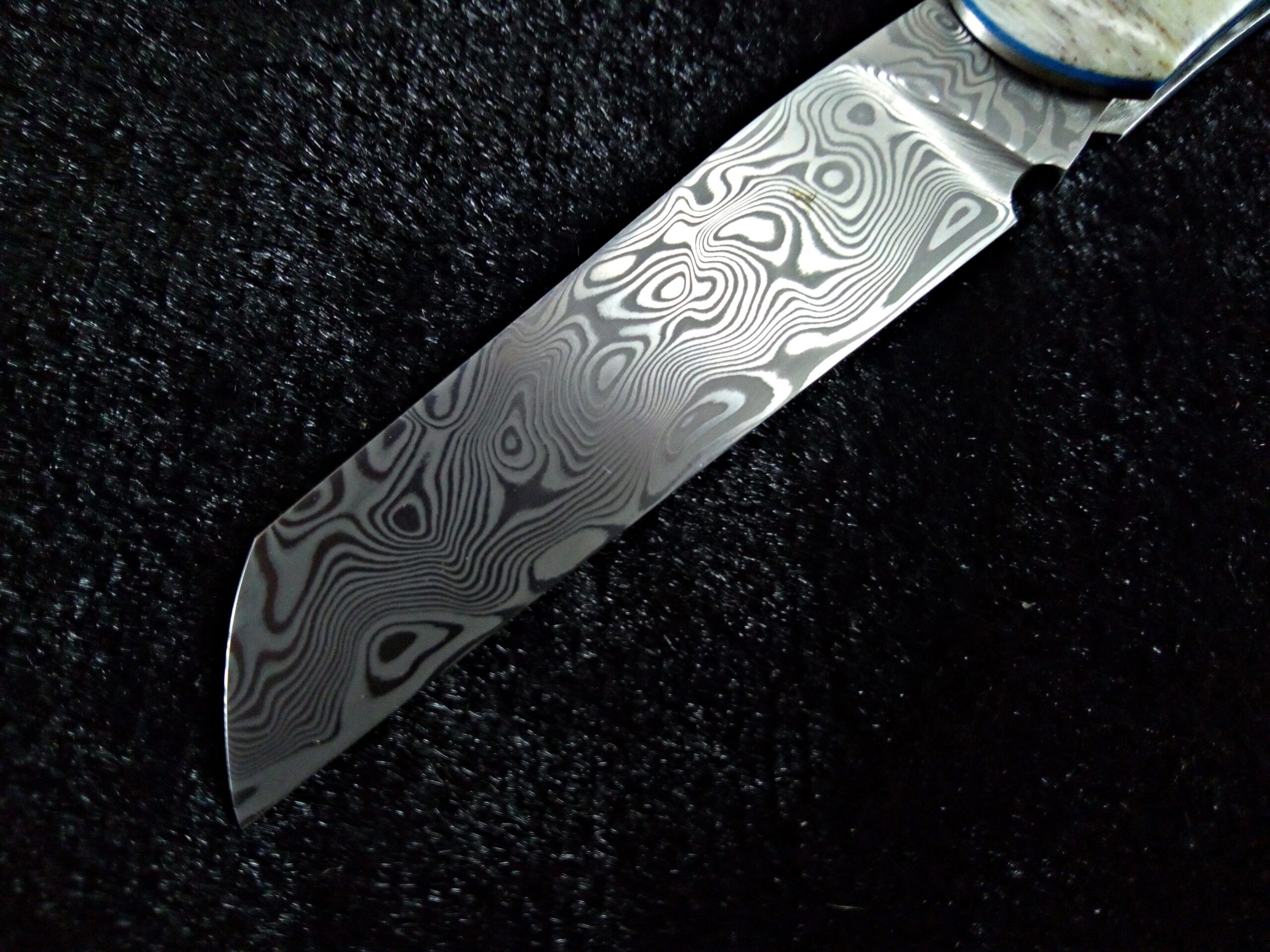 IMG_20251113_142459_206-compressed