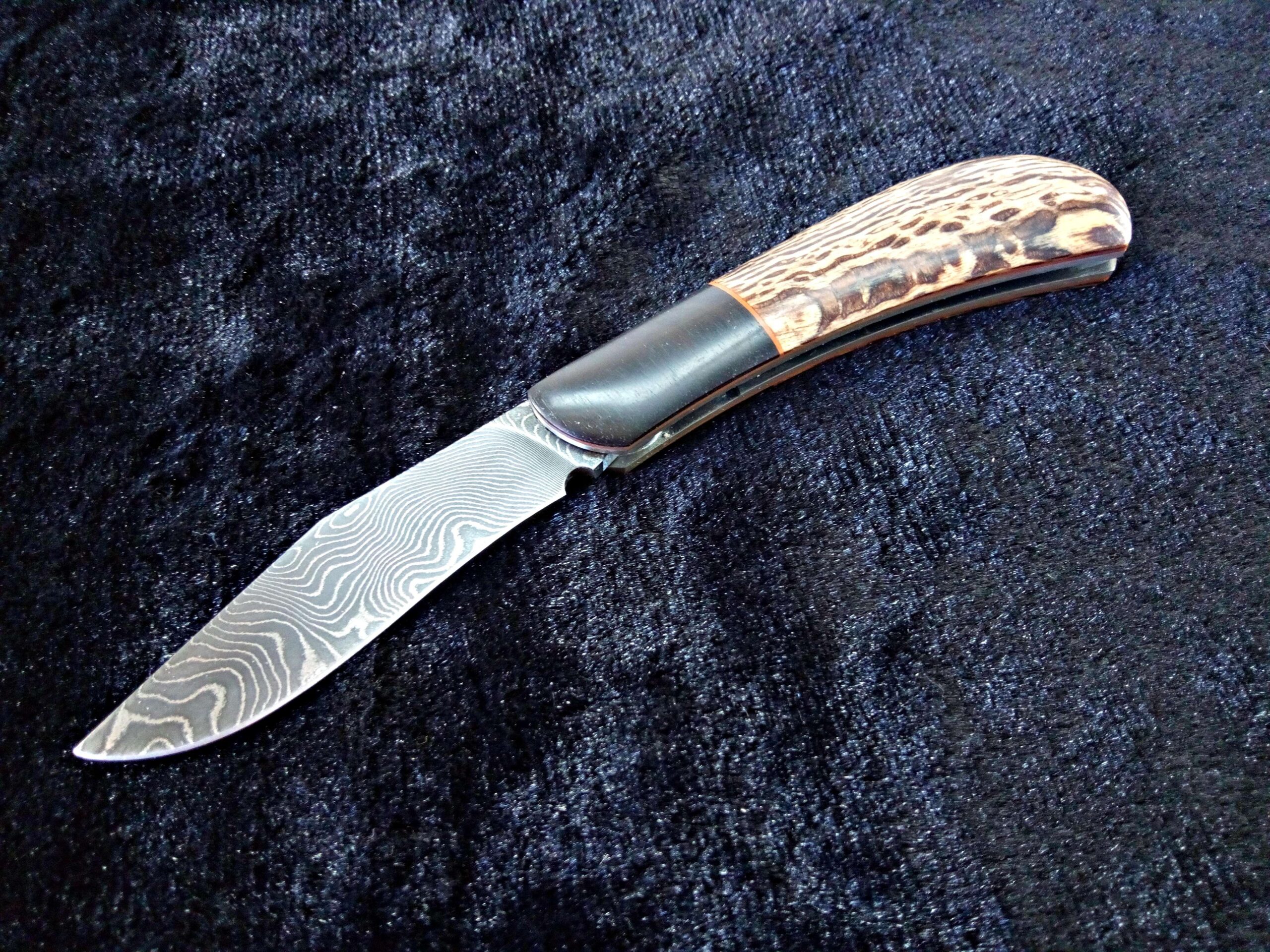 IMG_20260331_153554_464-compressed