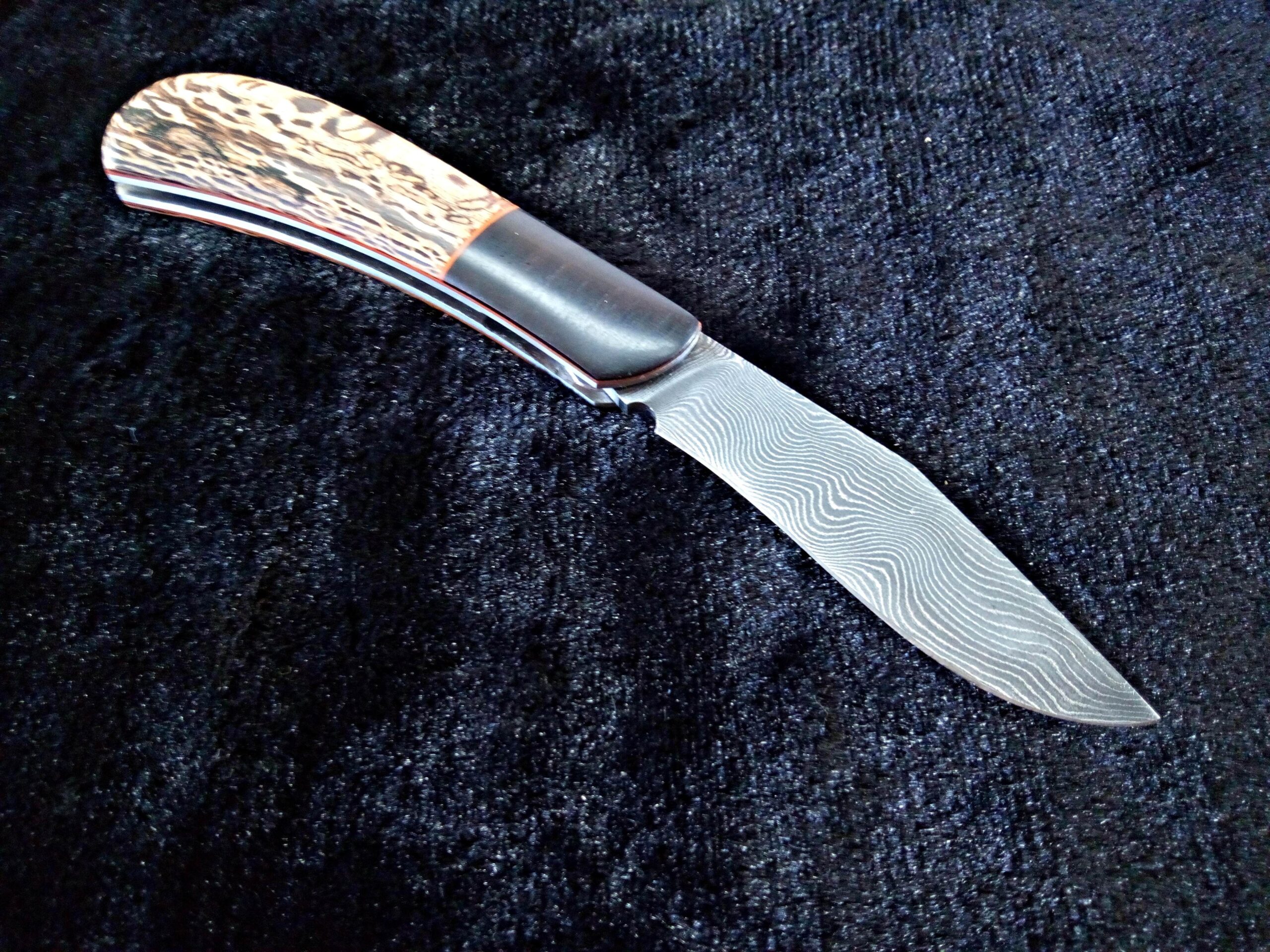 IMG_20260331_153608_979-compressed