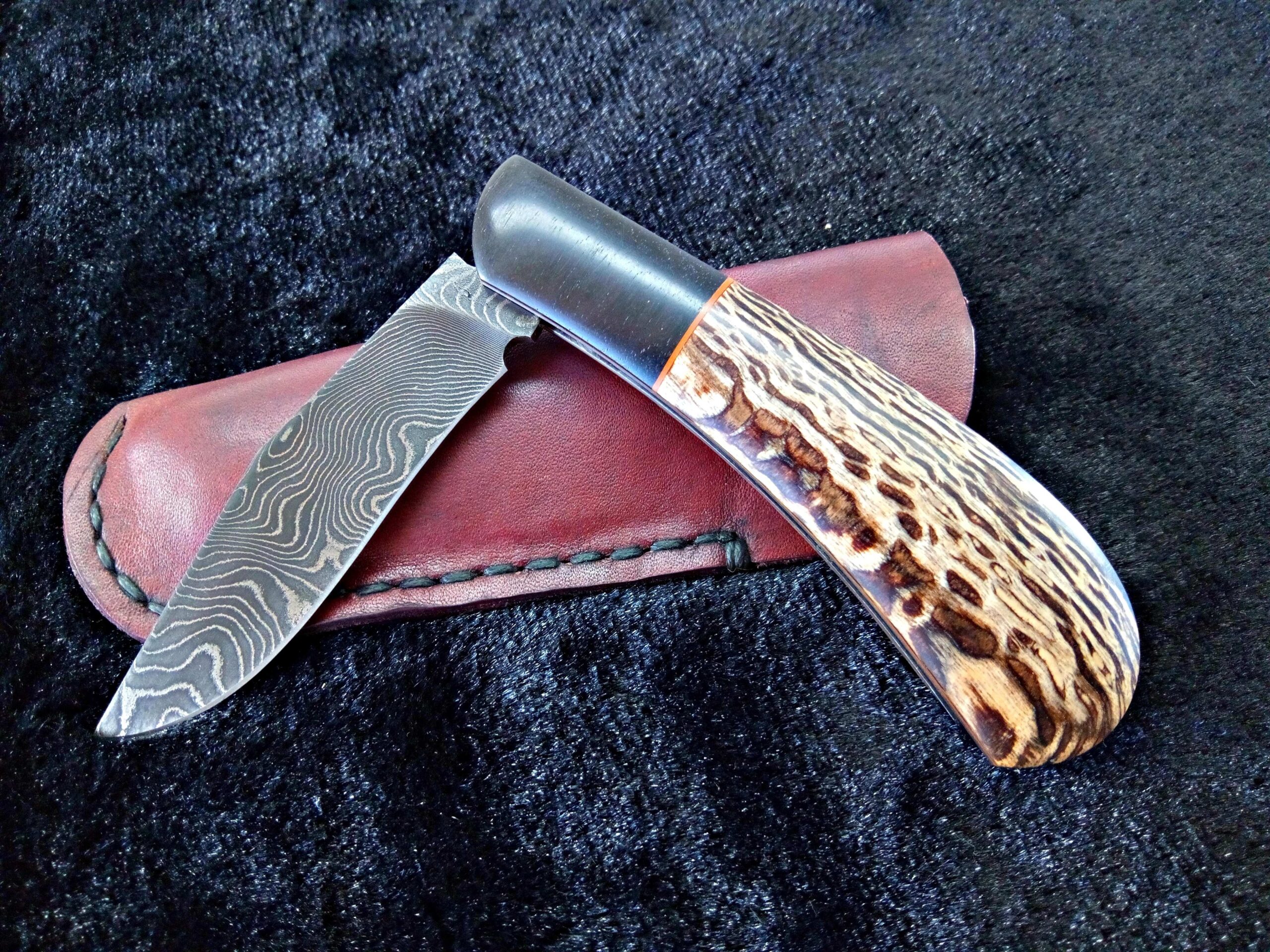 IMG_20260331_153632_211-compressed