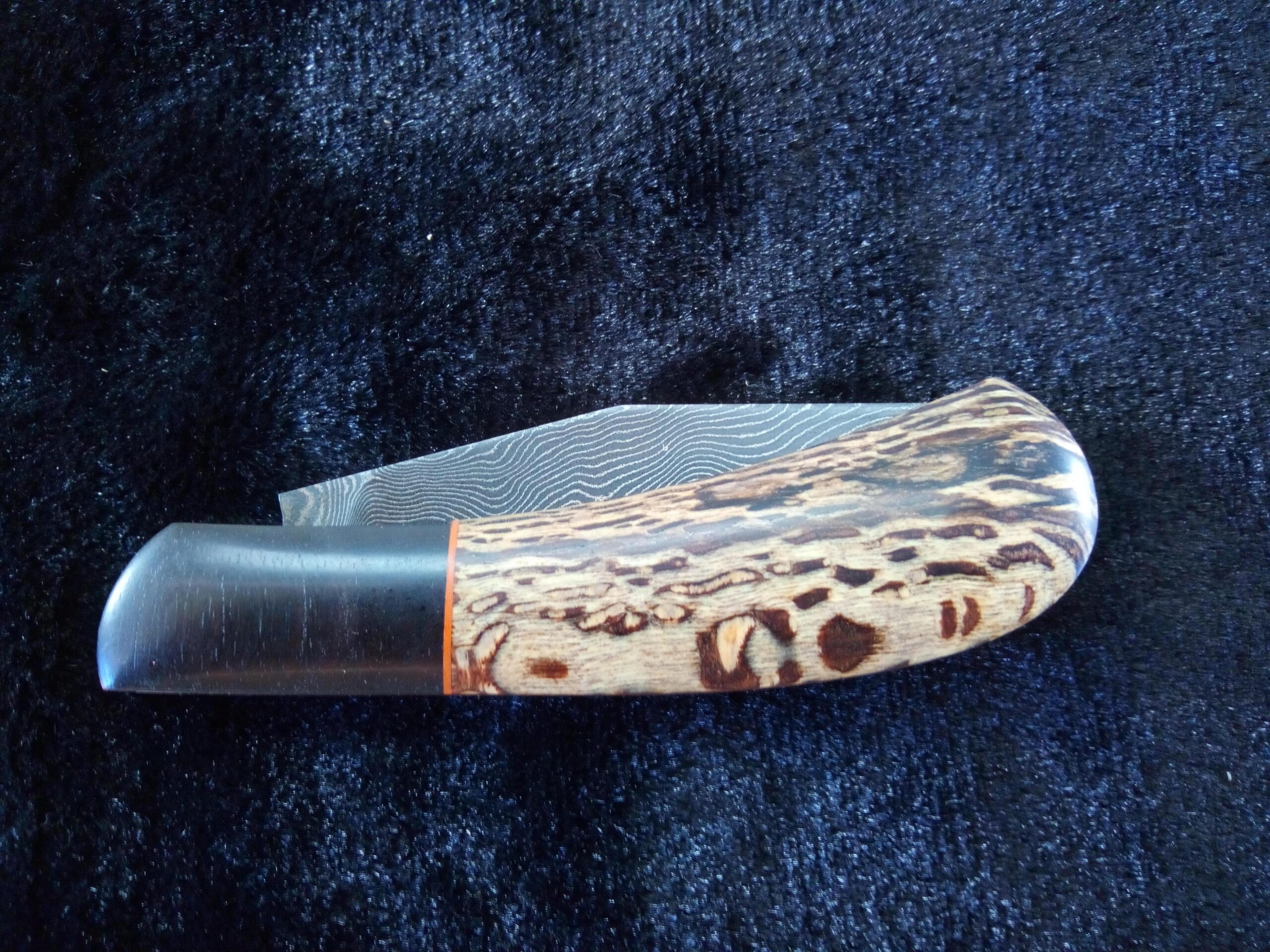 IMG_20260331_153645_255-compressed