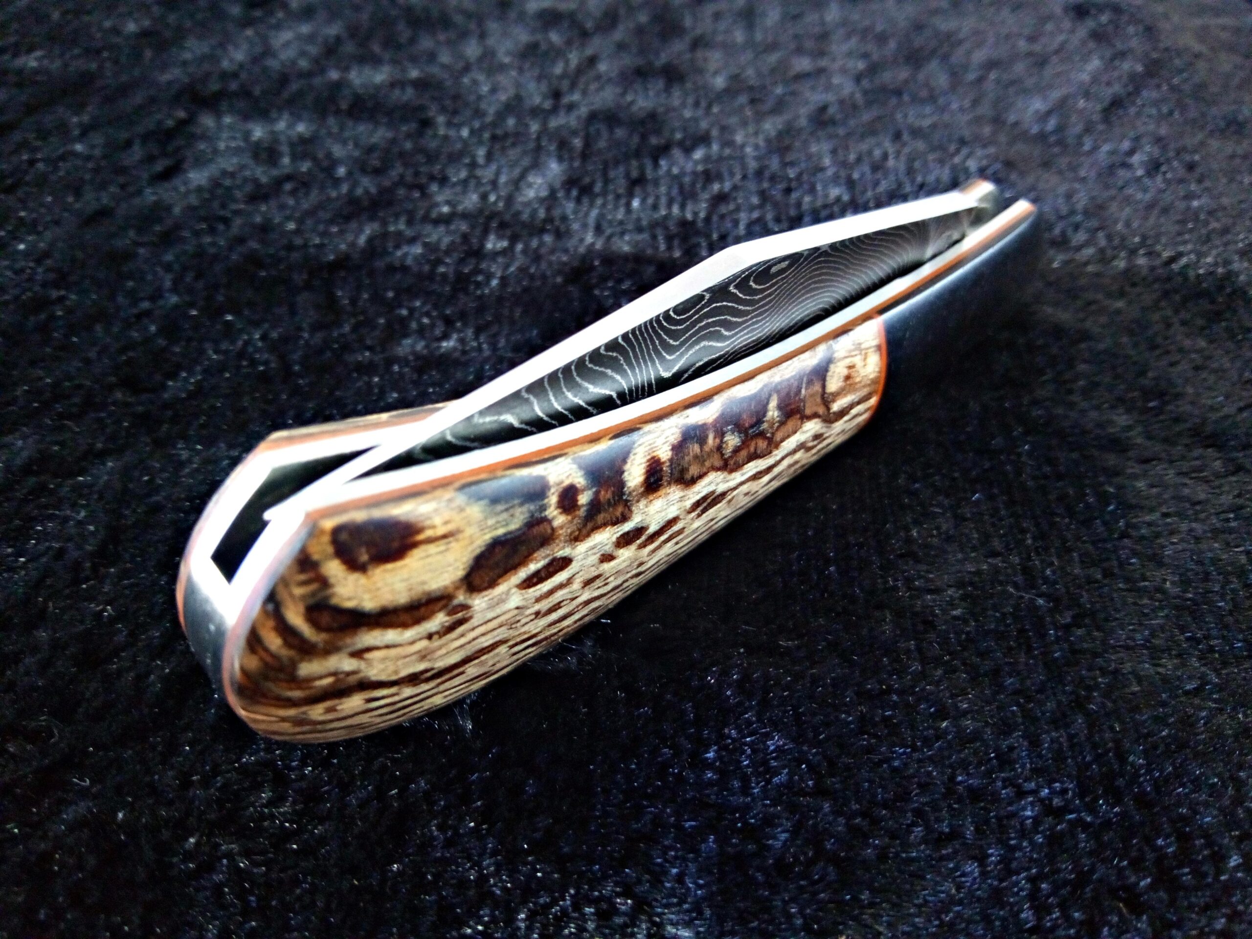 IMG_20260331_153712_057-compressed